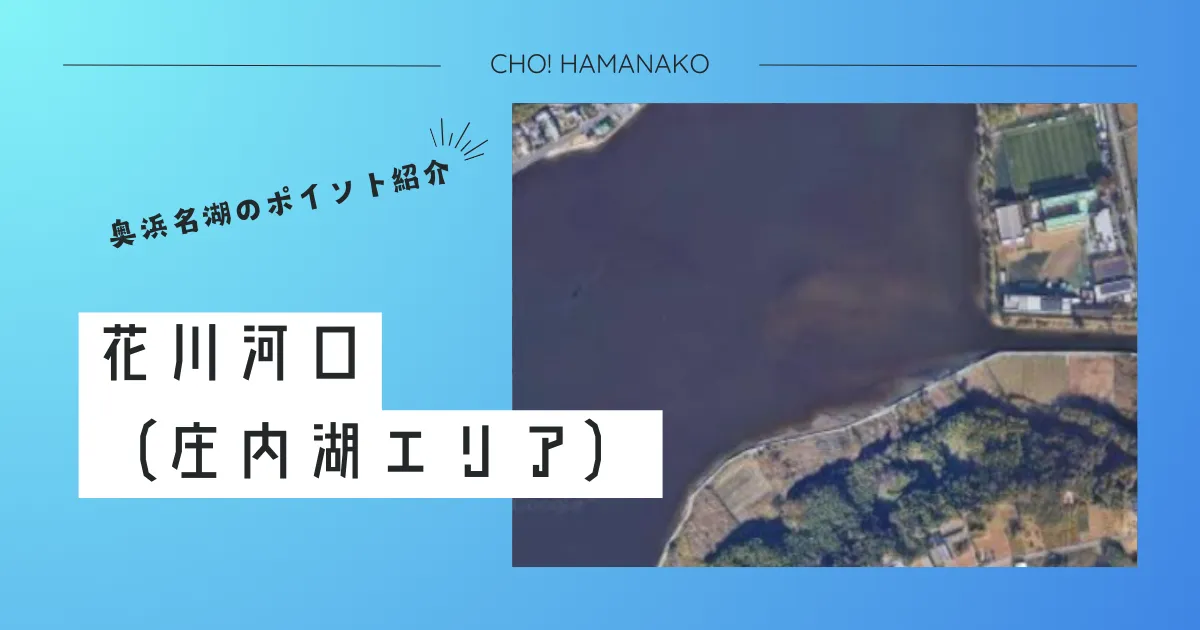 花川河口のシーズン別攻略ガイド